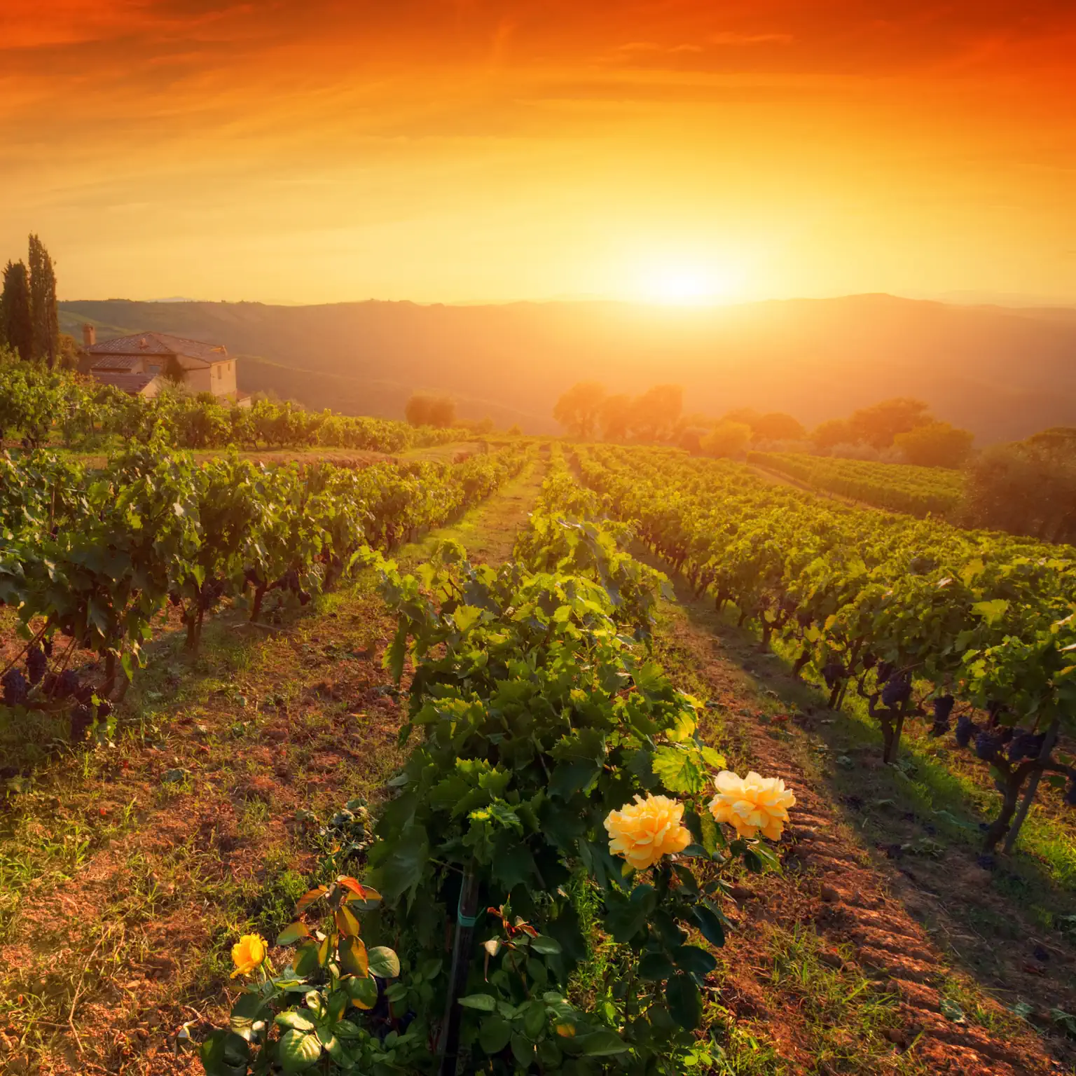 Italien