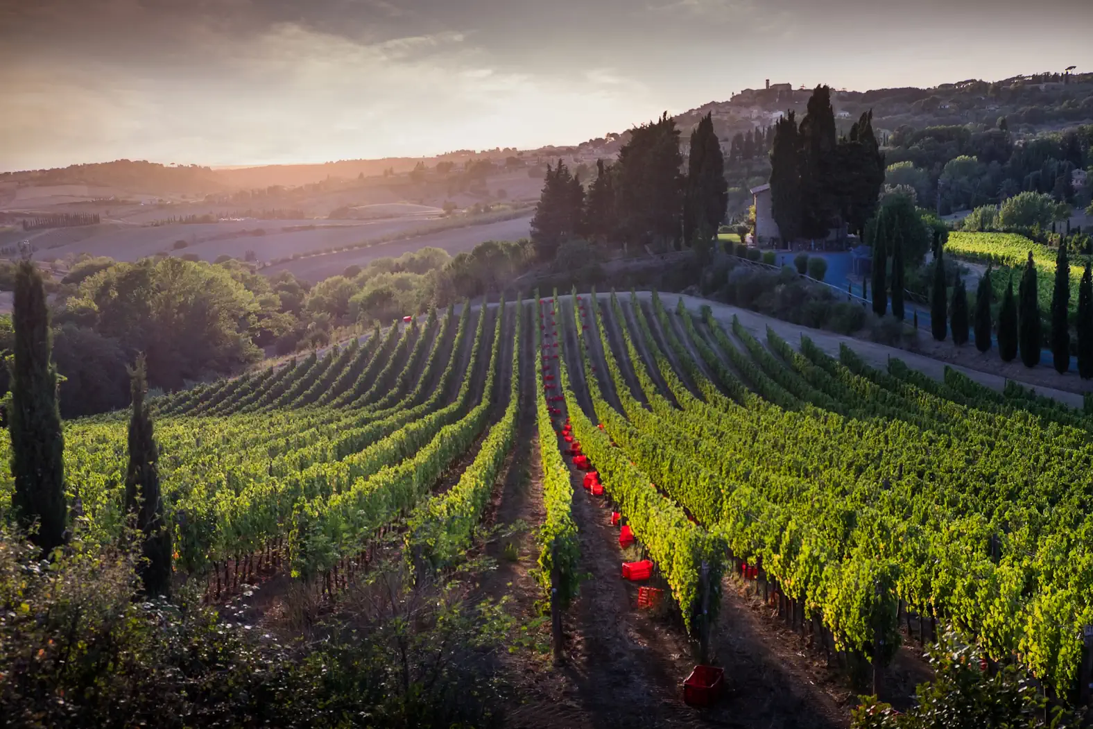 Weine aus der Toskana gehören zu den berühmtesten Tropfen Italiens